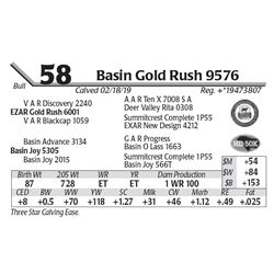 Basin Gold Rush 9576