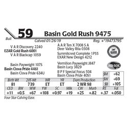 Basin Gold Rush 9475