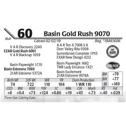 Basin Gold Rush 9070