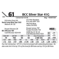BCC Silver Star 41G