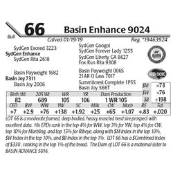 Basin Enhance 9024