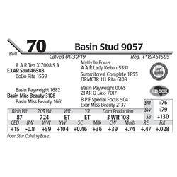 Basin Stud 9057