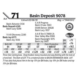 Basin Deposit 9078