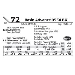 Basin Advance 9554 BK