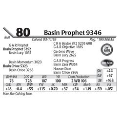 Basin Prophet 9346