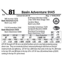 Basin Adventure 9145