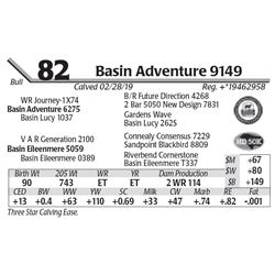 Basin Adventure 9149