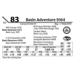 Basin Adventure 9164