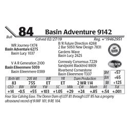 Basin Adventure 9142