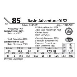 Basin Adventure 9152