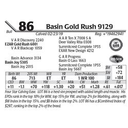 Basin Gold Rush 9129