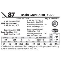 Basin Gold Rush 9565