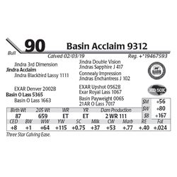 Basin Acclaim 9312