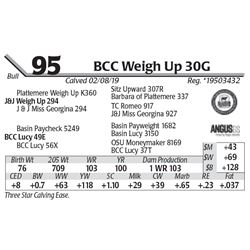 BCC Weigh Up 30G