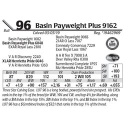 Basin Payweight Plus 9162