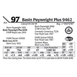 Basin Payweight Plus 9462