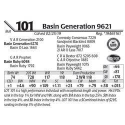 Basin Generation 9621