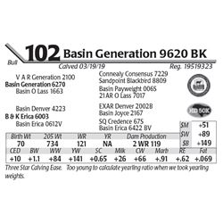 Basin Generation 9620 BK