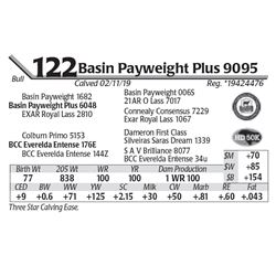 Basin Payweight Plus 9095