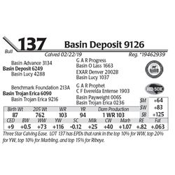 Basin Deposit 9126