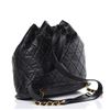 Image 2 : Chanel Lambskin Backpack