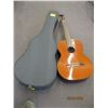 Image 1 : PAN GUITAR WITH HARDSHELL CASE