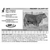 Image 1 : FISCHER CALVARY 937