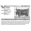 Image 1 : FRD JUNIOR 9713