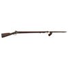 Image 1 : US Springfield Model 1842 Rifle & Bayonet
