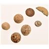 Image 3 : Goliad Relic Musket Balls, Buttons, & Coin Piece