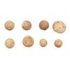Image 1 : Alamo Battlefield Dug Relic Musket Balls