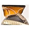 Image 9 : Imperial Russian Uhlan Helmet