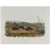 Image 1 : Audubon Imperial Quadruped Print: Meadow Mouse. Audubon Imperial Quadruped Print: [I]Arvicola Boreal
