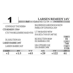 Larsen Remedy 14V