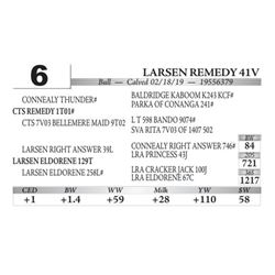 Larsen Remedy 41V