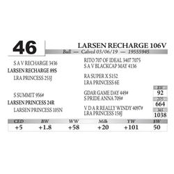 Larsen Recharge 106V