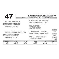 Larsen Recharge 59V