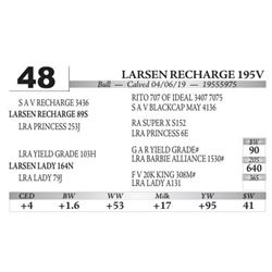 Larsen Recharge 195V