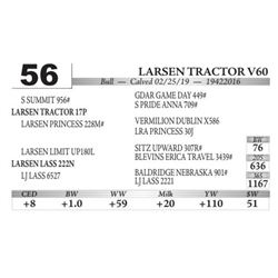 Larsen Tractor V60