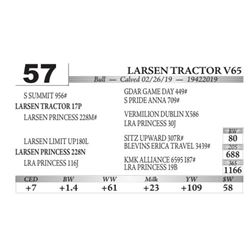 Larsen Tractor V65