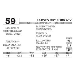 Larsen DRY Fork 66V