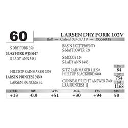Larsen DRY Fork 102V