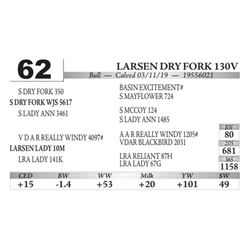 Larsen DRY Fork 130V