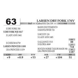 Larsen DRY Fork 176V