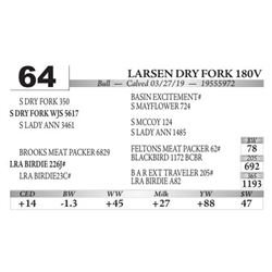 Larsen DRY Fork 180V