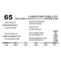 Larsen DRY Fork 132V