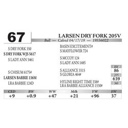 Larsen DRY Fork 205V