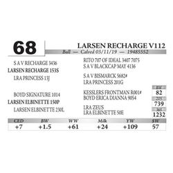 Larsen Recharge V112