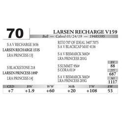 Larsen Recharge V159