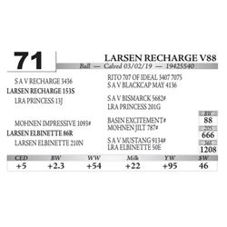 Larsen Recharge V88